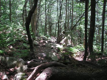 LT/AT to Stratton Mtn